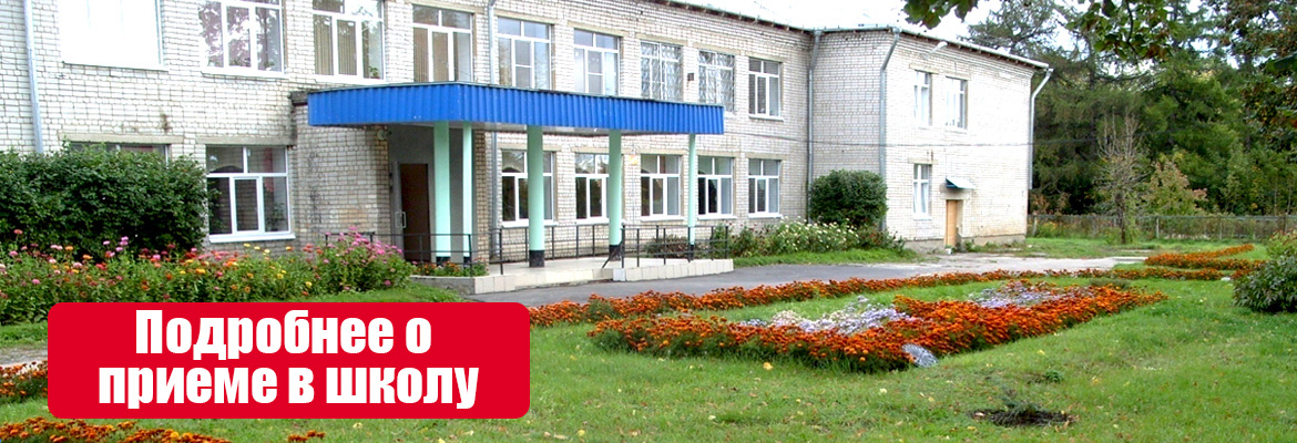 Костинская школа интернат Рыбновского района Рязанской области